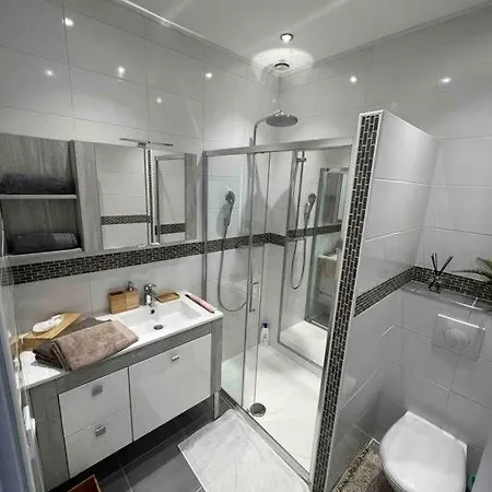 Apartment Le Xv Au Coeur De La *